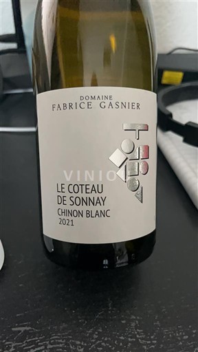 Vallée de la Loire Chinon Domaine Fabrice Gasnier Le Coteau de Sonnay 2021