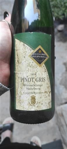 Moselle Luxembourg Grand Premier Cru Domaine S Vinsmoselle Wormeldange Mohrberg 2008