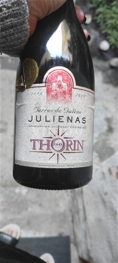 Beaujolais Juliénas Thorin Terres de Galène 2009