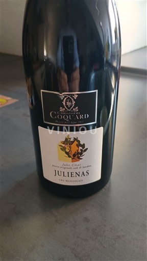 Beaujolais Juliénas Domaine Coquard Juliénas Antoine 2023