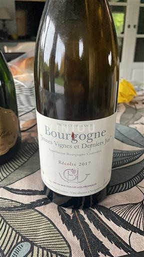 Burgundsko Domaine CJ Viticoleur à vergisson Jeunes Vignes et Derniers Jus 2017