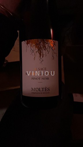 Alsace Moltès Sonnenberglaenzle 2022