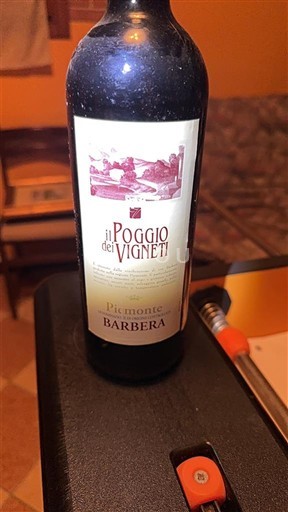 Piemonte Barbera d'Alba Il Poggio dei Vigneti 2011