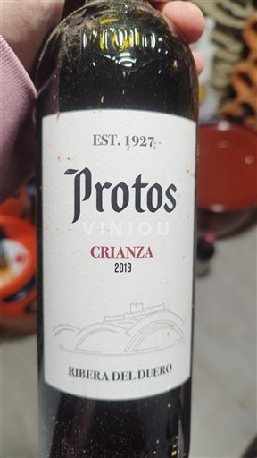 Castille et León Ribera del Duero Protos Crianza 2019