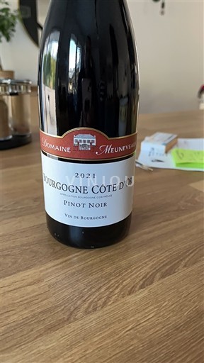 Bourgogne Bourgogne Côte d'Or Domaine Meuneveaux 2021