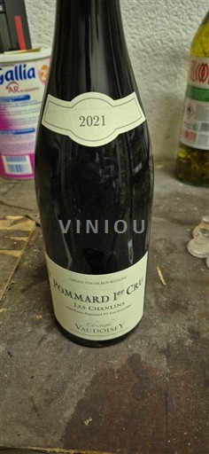 Burgundy Unspecified Premier Cru Domaine Vaudoisey Les Chanlins 2021