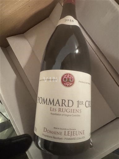 Burgundy Not Specified Premier Cru Domaine Lejeune Les Rugiens 2018