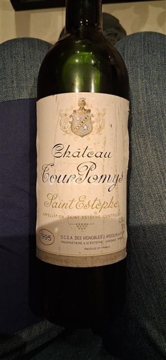 Bordeaux Saint-Estèphe Château Tour Pomys 1995