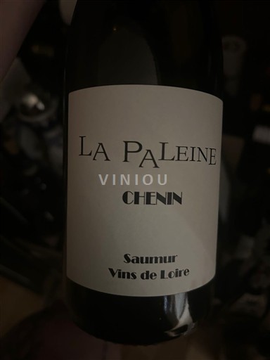 Valle della Loira Saumur La Paleine Chenin Senza annata