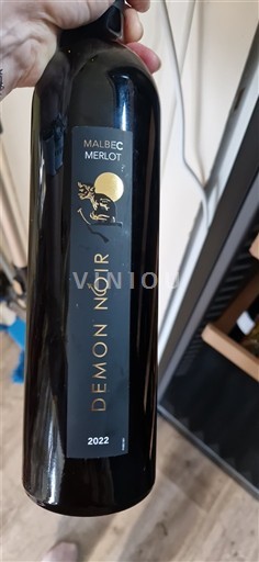 Southwest Côtes du Lot Demon Noir 2022