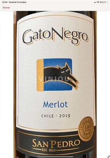 Maipo-Tal Maipo Central San Pedro Gato Negro Merlot 2019