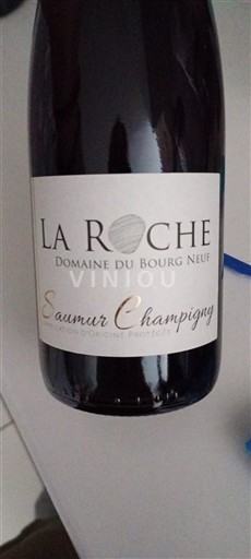 Valle del Loira Saumur-Champigny Domaine Bourg Neuf La Roche Sin añada
