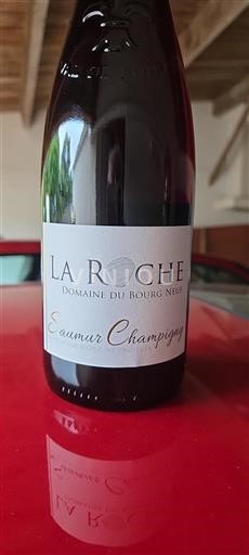 Loire Valley Saumur-Champigny Domaine Bourg Neuf La Roche Non-Vintage