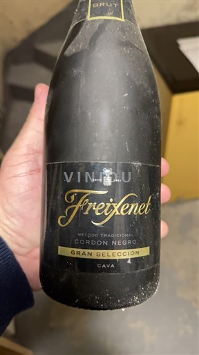 Catalogna Cava Freixenet Senza annata