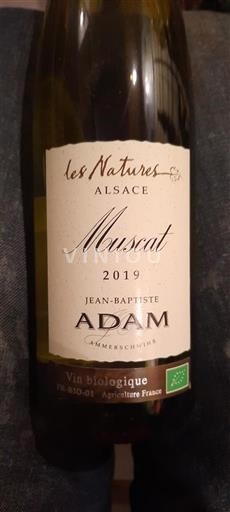 Alsace Muscat Jean-Baptiste Adam Les Natures 2019