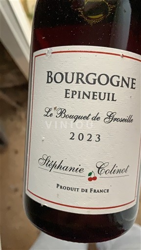 Bourgondië Bourgogne Epineuil Stéphanie Colinot Le Bouquet de Groseille 2023