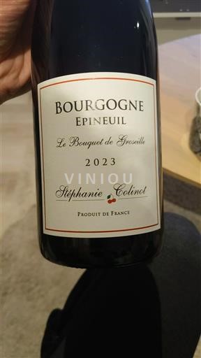 Bourgogne Bourgogne Epineuil Stéphanie Colinot Le Bouquet de Groseille 2023