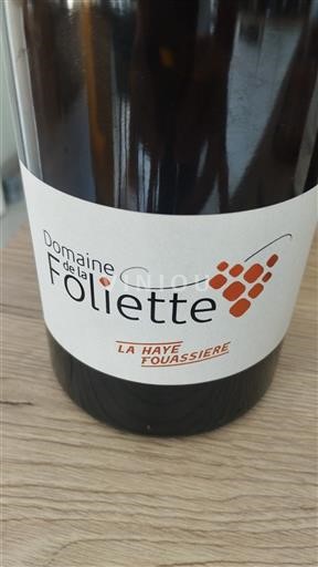 Vallée de la Loire Muscadet-sèvre-et-maine Domaine La Foliette La Haye Fouassière 2018
