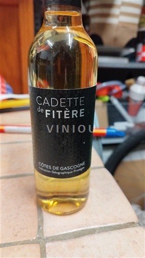 Zuidwest-Frankrijk Côtes de Gascogne Cadette de Fitère 2023