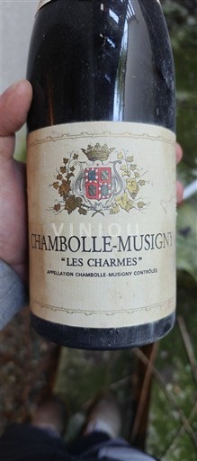 Bourgogne Chambolle-Musigny Premier Cru Les Charmes 1998