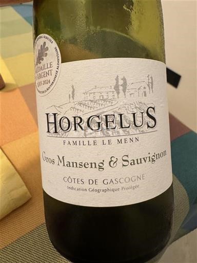 Tây Nam Côtes de Gascogne Horgelus Gros Manseng & Sauvignon 2023