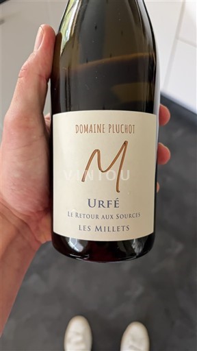 Loiredalen Côtes-du-Forez Domaine Pluchot Urfé Les Millets 2024