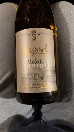 Savoja in Bugey Seyssel Cave Bernard et Fils Molette Neleten.