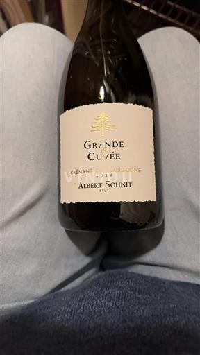 Burgundy Crémant de Bourgogne Albert Sounit Grande Non-Vintage