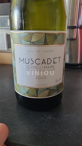Loire Valley Muscadet Sèvre et Maine  2020