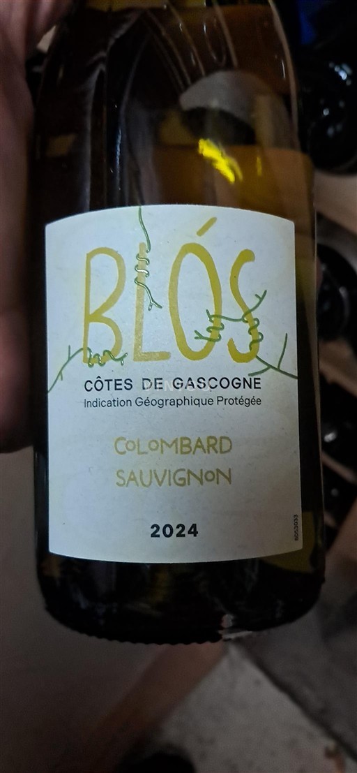 Jugozahod Côtes de Gascogne Blós 2024