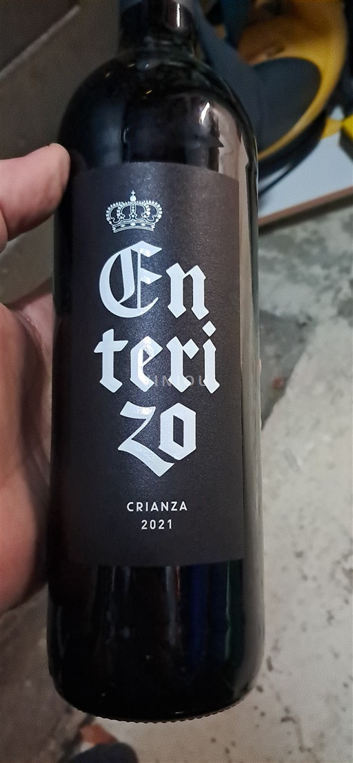 Castela-La Mancha La Mancha Crianza 2021
