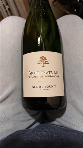 Burgundy Crémant de Bourgogne Albert Sounit Brut Nature Non-Vintage