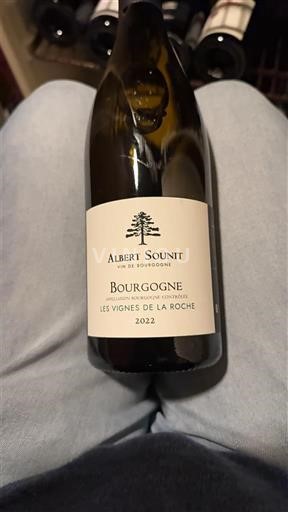 Burgundsko Albert Sounit Les Vignes de la Roche 2022