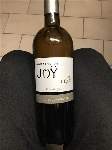 Sudoeste Côtes de Gascogne Domaine Joy En Joy 2016