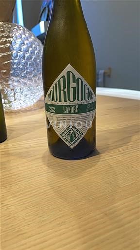 Burgundija Domaine Derain Landré 2022