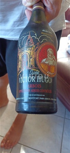 Jura Arbois Château Montfort Victor Hugo Neročník