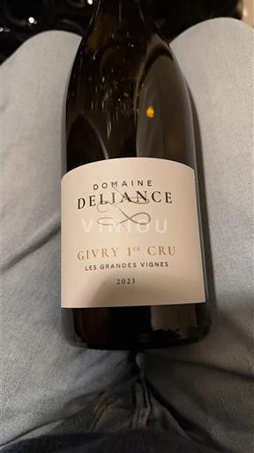 Bourgogne Premier Cru Domaine Deliance Les Grandes Vignes 2023