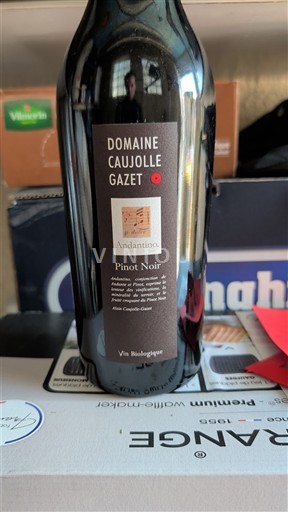 Languedoc och Roussillon Hérault Domaine Caujolle-Gazet Andantino 2020