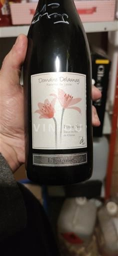 Valle della Loira Non specificato Domaine Delaunay L'Exquise Senza annata