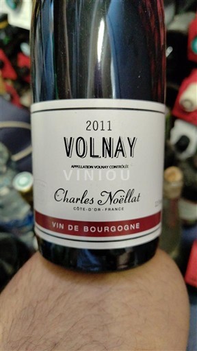 Burgundy Volnay Charles Noëllat 2011