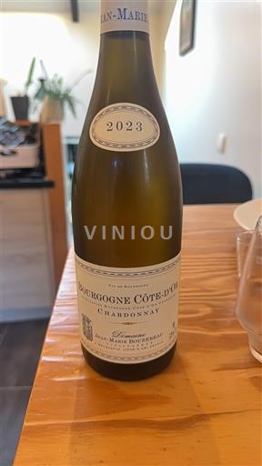 Burgundy Burgundy Côte d'Or Domaine Jean-Marc Mouton-Madeleine 2023