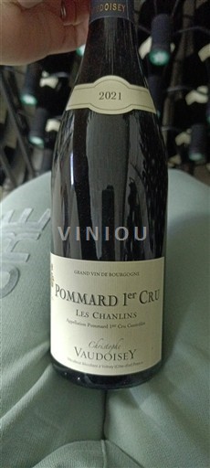 Бургундія Поммар Premier Cru Christophe Vaudoisey Les Chanlins 2021