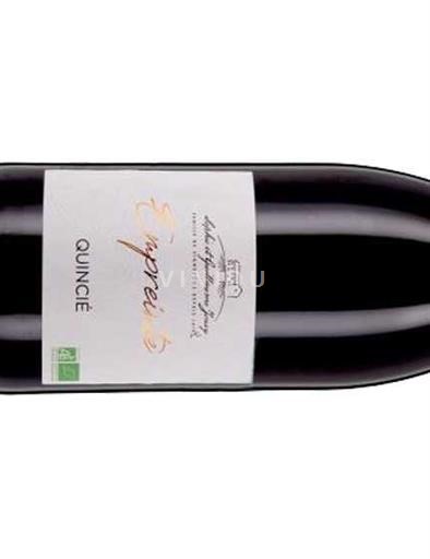 Beaujolais Beaujolais Villages Cave des Producteurs de Quincié Esprit 2024