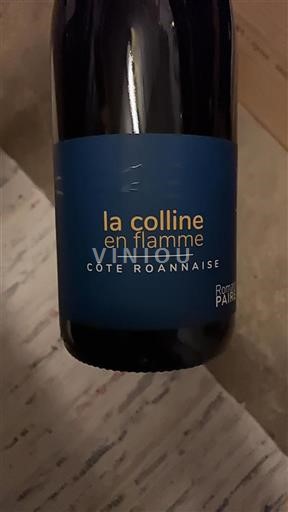 Loire-dalen Côte-roannaise Domaine Romain Paire La colline en flamme 2023