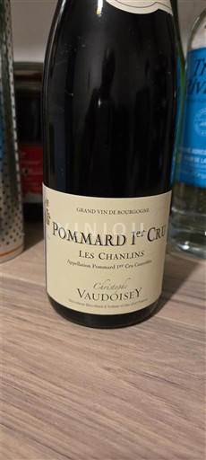 Burgundy Pommard Premier Cru Domaine Vaudoisey Les Chanlins 2022