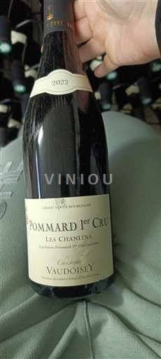 Burgundy Pommard Premier Cru Domaine Vaudoisey Les Chanlins 2022