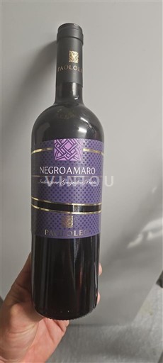 Puglia Susumaniello Salento Paololeo Negeoamaro 2021