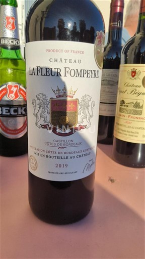Bordeaux Castillon-côtes-de-bordeaux Château La Fleur Fompéyre 2019