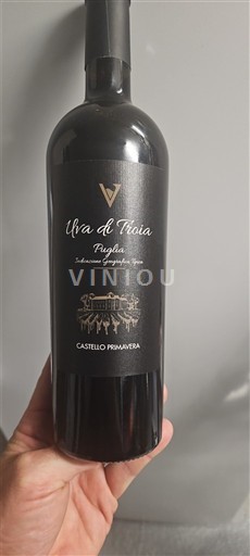 Vinos Rouge sec Uva di Troia Castello Primavera 2019 Italia Apulia No especificado DOC