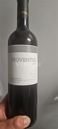 Vin Rouge sec Proventus 2017 Espanja Kastilia ja León Ribera del Duero DO